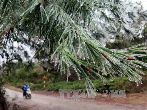 Đêm nay không khí lạnh tràn về, miền Bắc rét đậm ảnh 1